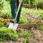 Les étapes essentielles pour bien préparer son potager