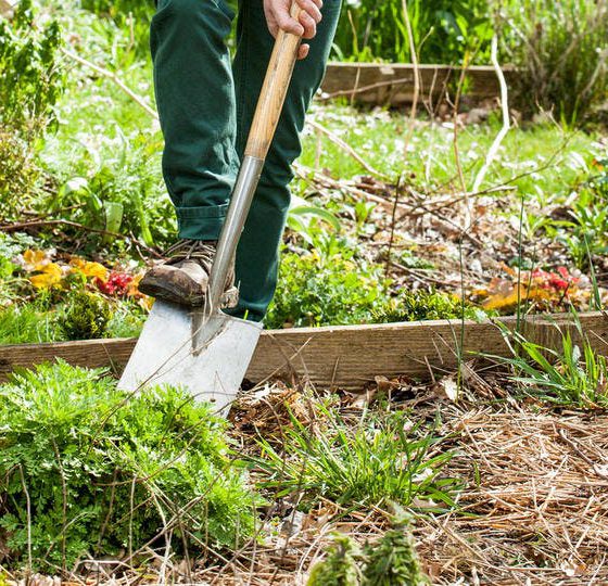 préparer-son-potager